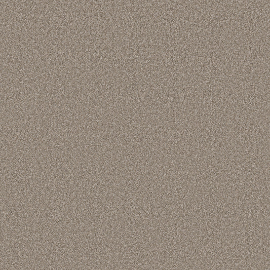 Shaw Floors - Carpet - Simply the Best Values Collection - New Attitude - 12' - Bali Sand
