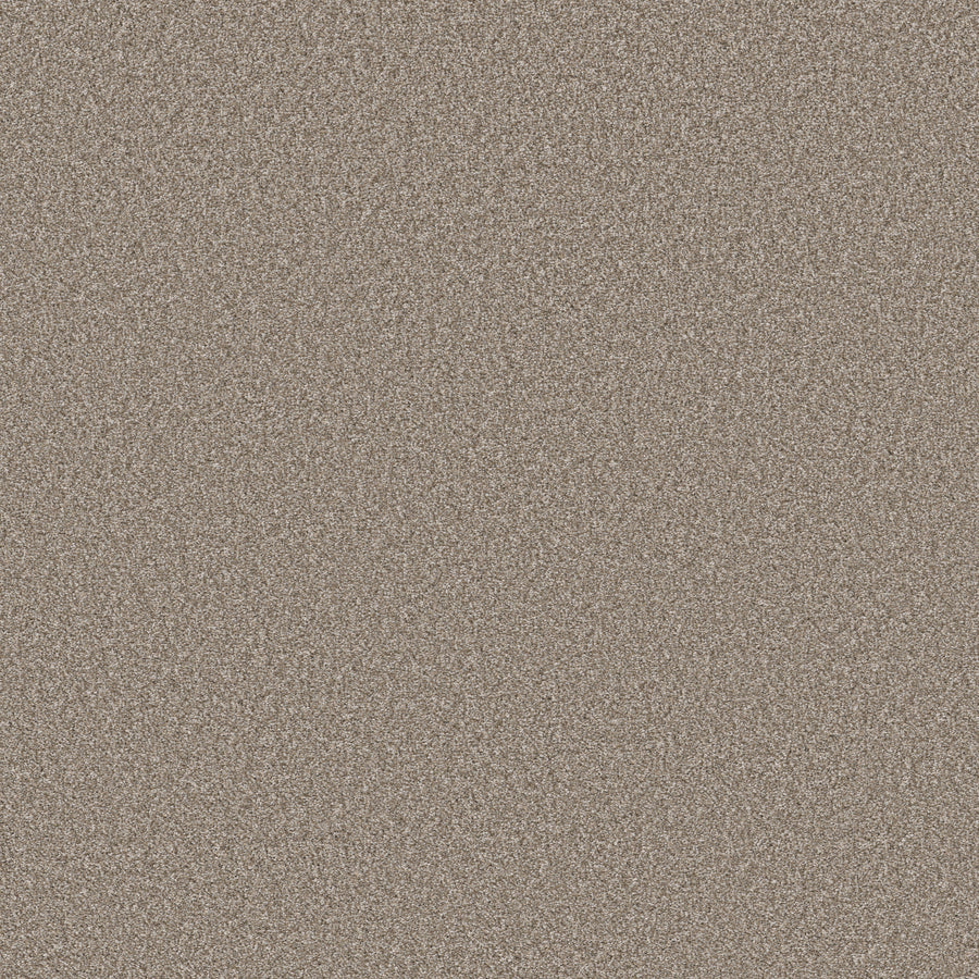 Shaw Floors - Carpet - Simply the Best Values Collection - New Attitude - 12' - Bali Sand