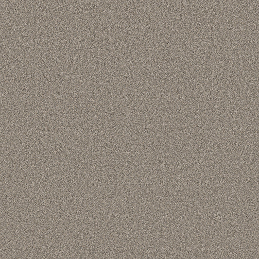 Shaw Floors - Carpet - Simply the Best Values Collection - New Attitude - 12' - Shooting Star