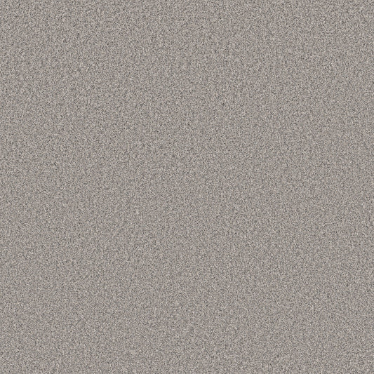 Shaw Floors - Carpet - Simply the Best Values Collection - New Attitude - 12' - Wind Chill