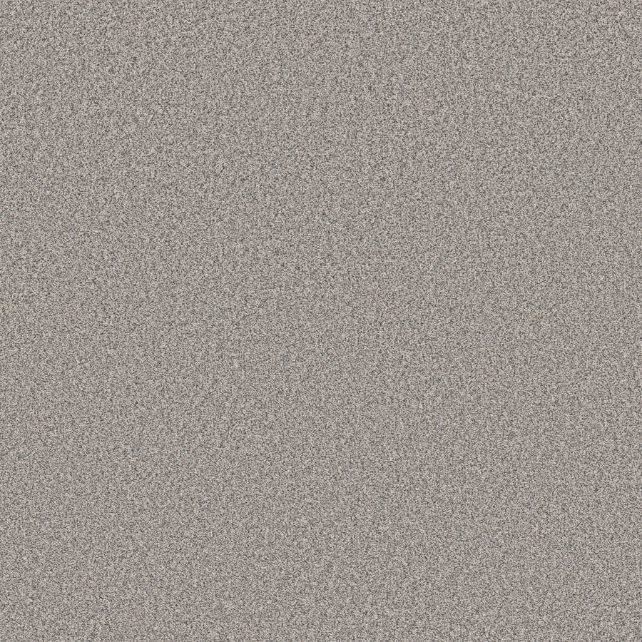 Shaw Floors - Carpet - Simply the Best Values Collection - New Attitude - 12' - Wind Chill