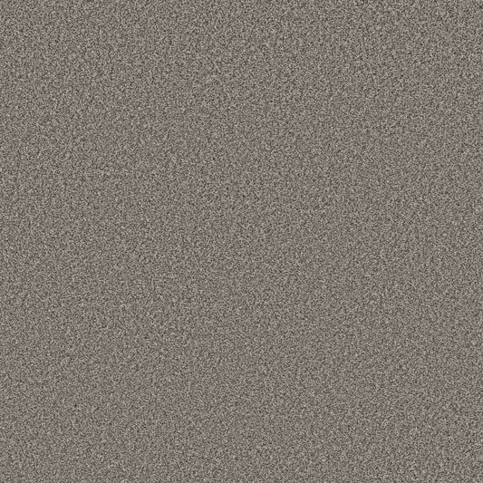 Shaw Floors - Carpet - Simply the Best Values Collection - New Attitude - 12' - Meteor