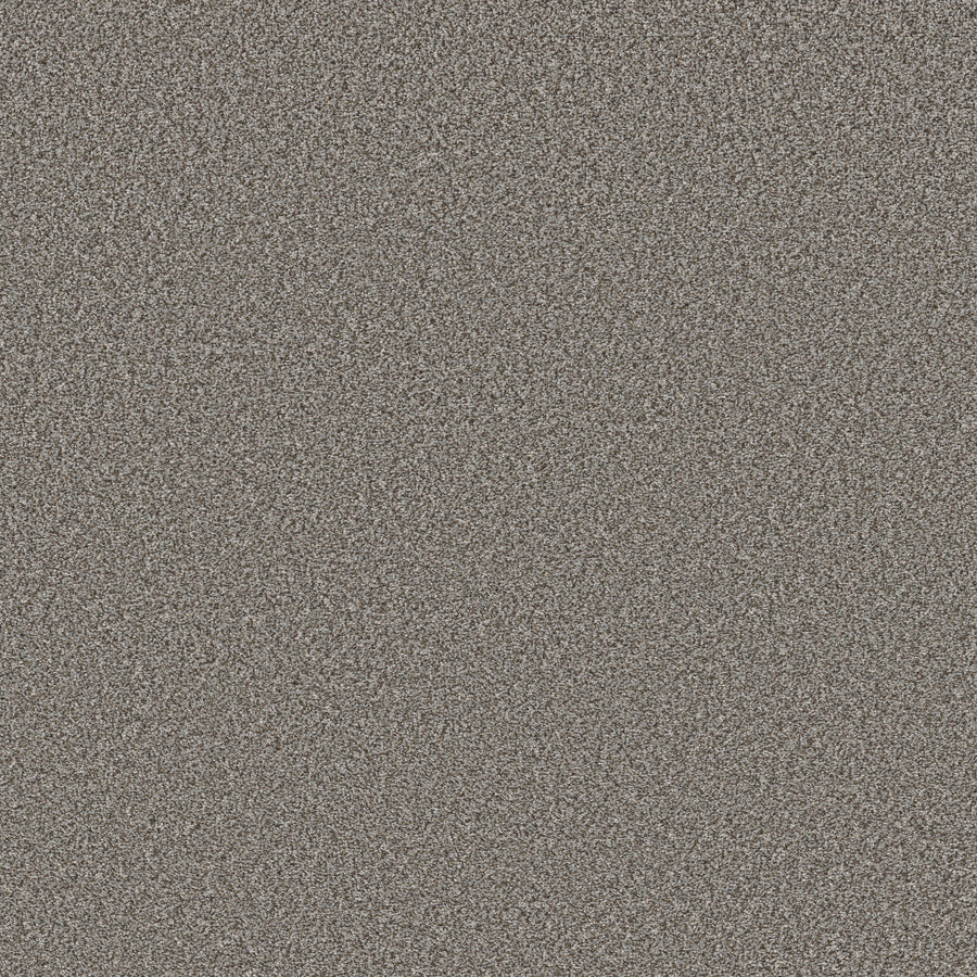 Shaw Floors - Carpet - Simply the Best Values Collection - New Attitude - 12' - Meteor
