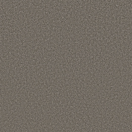 Shaw Floors - Carpet - Simply the Best Values Collection - New Attitude - 12' - Castle Wall