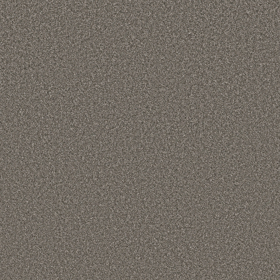 Shaw Floors - Carpet - Simply the Best Values Collection - New Attitude - 12' - Castle Wall