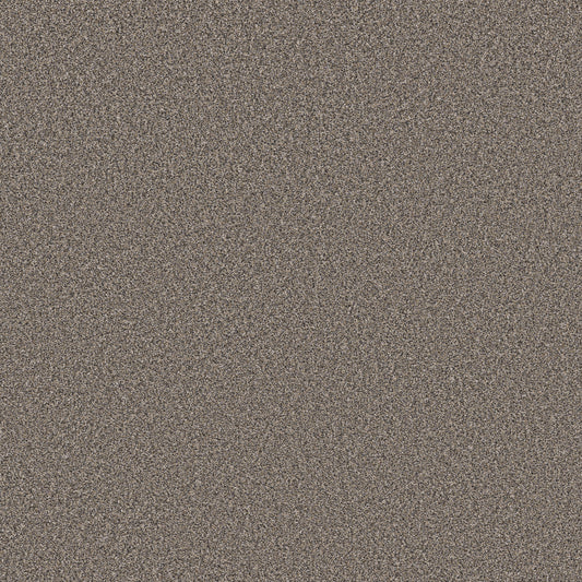 Shaw Floors - Carpet - Simply the Best Values Collection - New Attitude - 12' - Pier