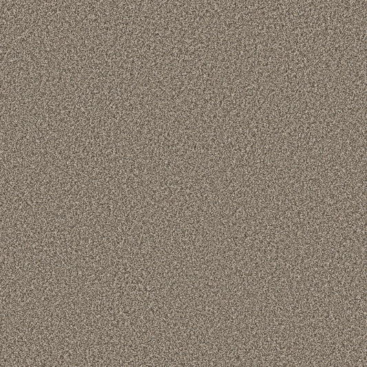 Shaw Floors - Carpet - Simply the Best Values Collection - New Attitude - 12' - Pecan Sandie