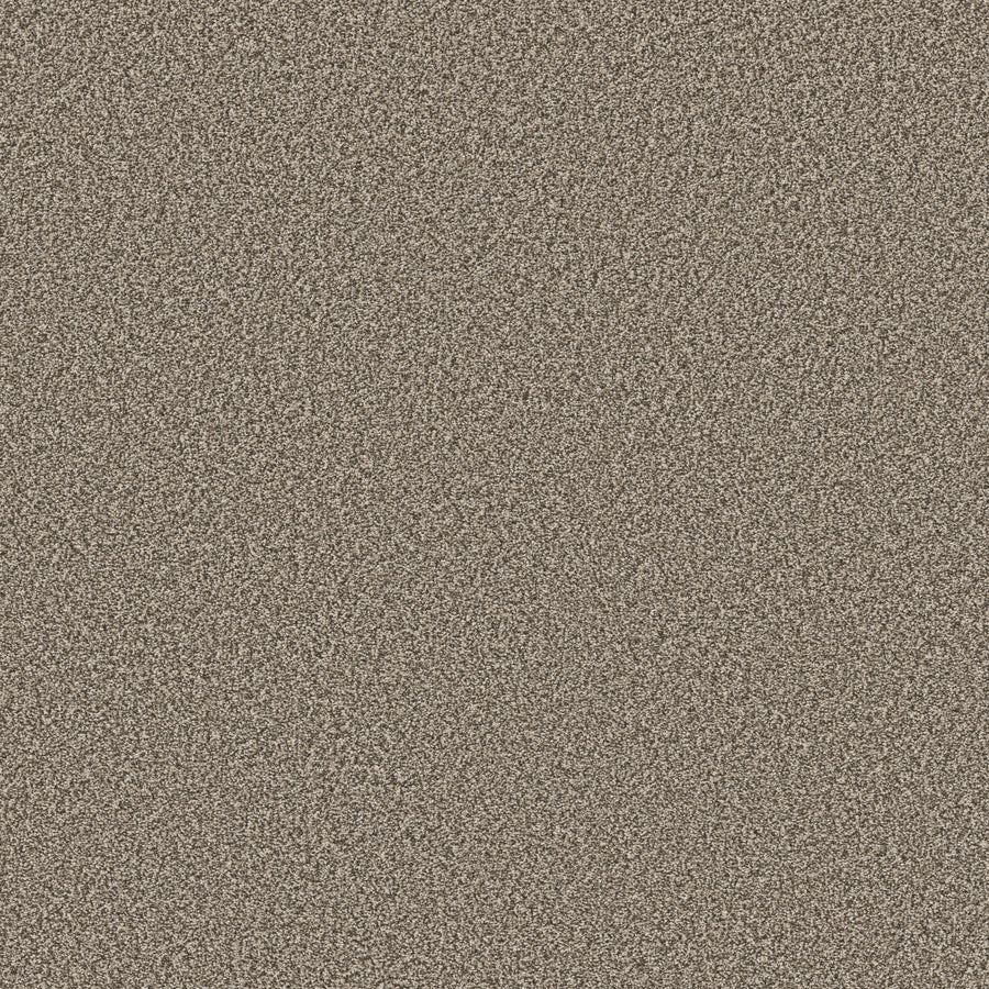 Shaw Floors - Carpet - Simply the Best Values Collection - New Attitude - 12' - Pecan Sandie