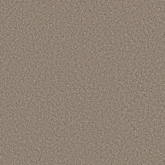 Shaw Floors - Carpet - Simply the Best Values Collection - New Attitude - 12' - Desert Dune