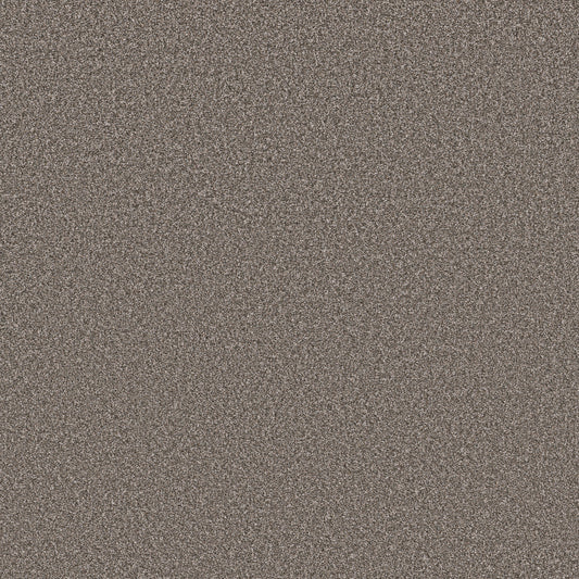 Shaw Floors - Carpet - Simply the Best Values Collection - New Attitude - 12' - Afternoon Tea