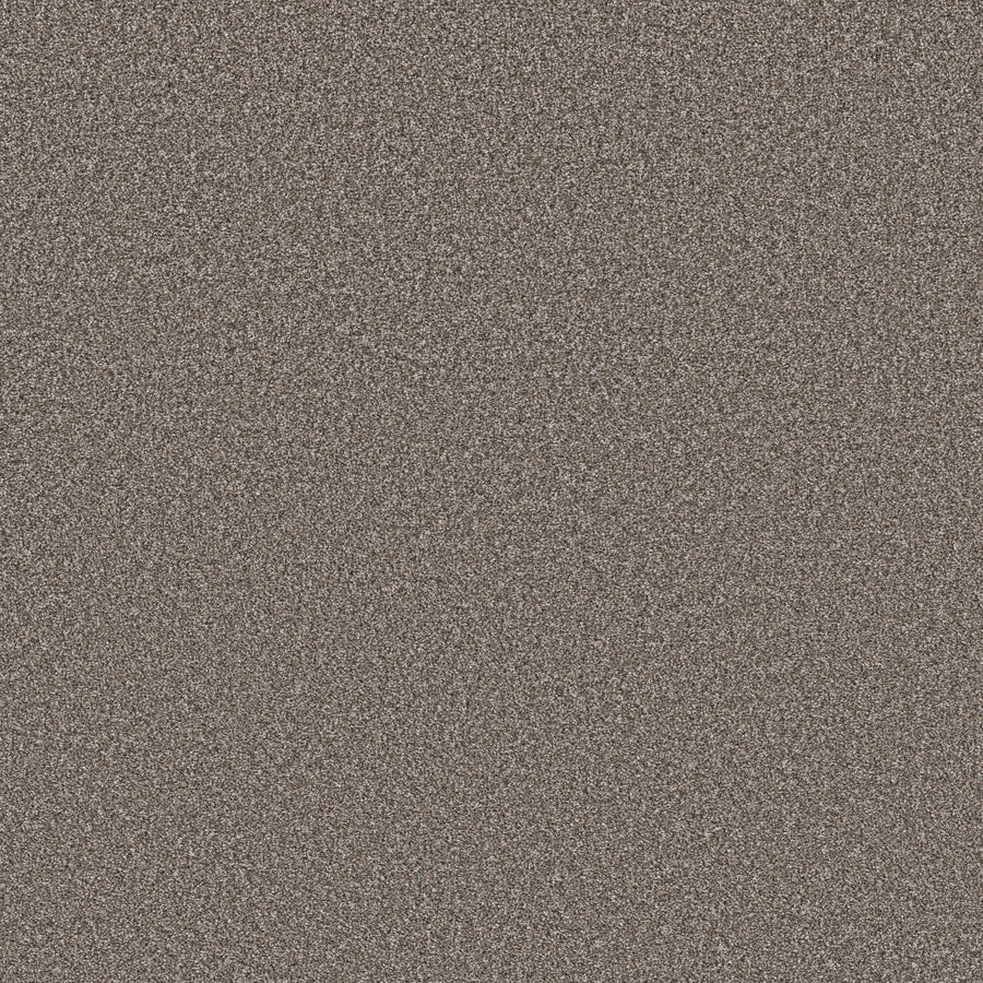 Shaw Floors - Carpet - Simply the Best Values Collection - New Attitude - 12' - Afternoon Tea