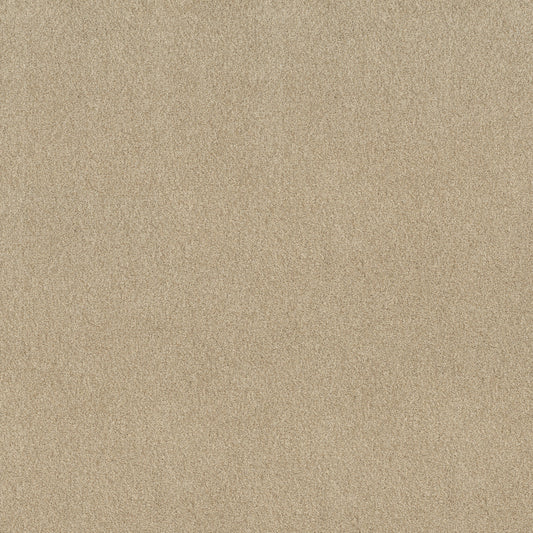 Shaw Floors - Carpet - Comforting I - 12' - Sesame Seed