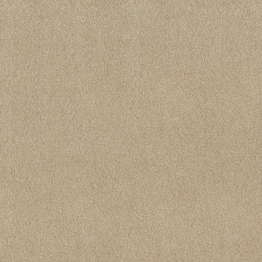 Shaw Floors - Carpet - Comforting I - 12' - Sesame Seed