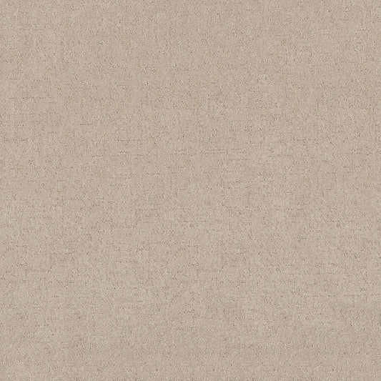 Shaw Floors - Carpet - Pet Perfect + Collection - Secret Destination - 12' - Cafe Latte