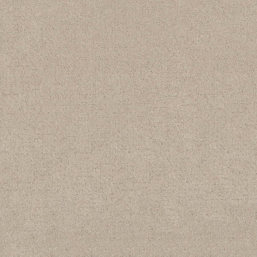 Shaw Floors - Carpet - Pet Perfect + Collection - Secret Destination - 12' - Cafe Latte