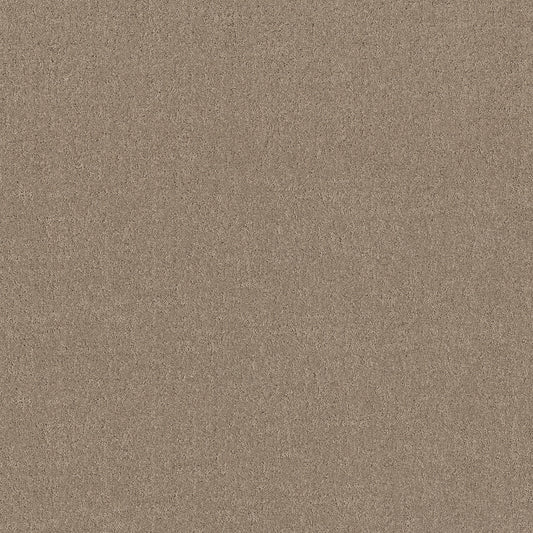 Shaw Floors - Carpet - Pet Perfect + Collection - Secret Destination - 12' - Stonecrest