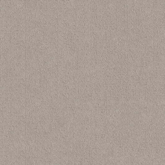 Shaw Floors - Carpet - Pet Perfect + Collection - Secret Destination - 12' - Chic Taupe