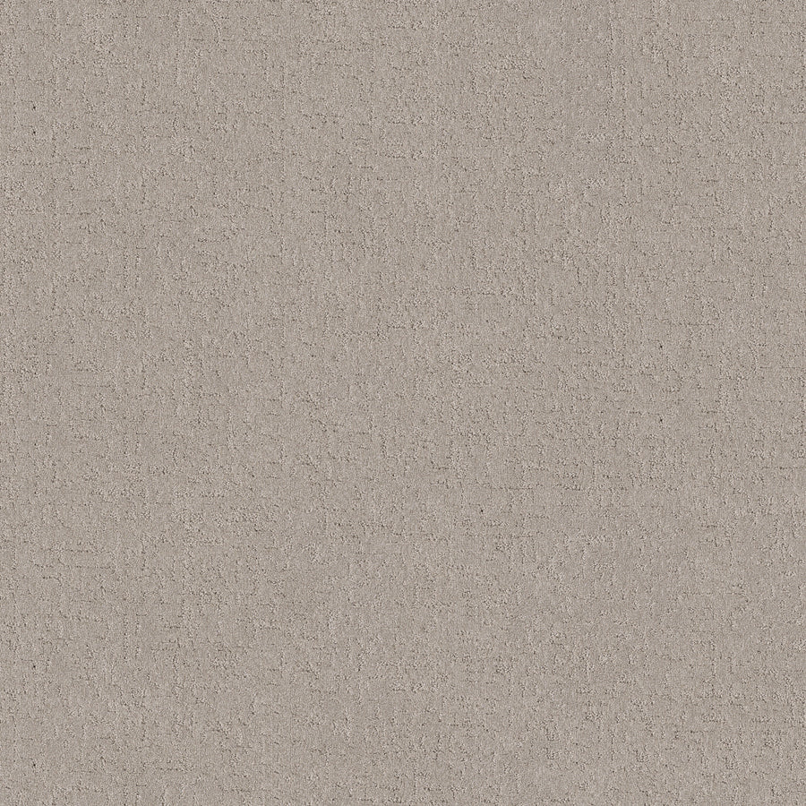 Shaw Floors - Carpet - Pet Perfect + Collection - Secret Destination - 12' - Chic Taupe