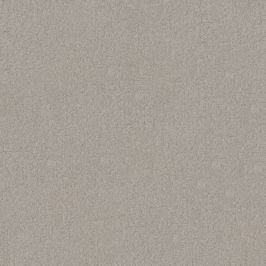 Shaw Floors - Carpet - Pet Perfect + Collection - Secret Destination - 12' - Four Winds
