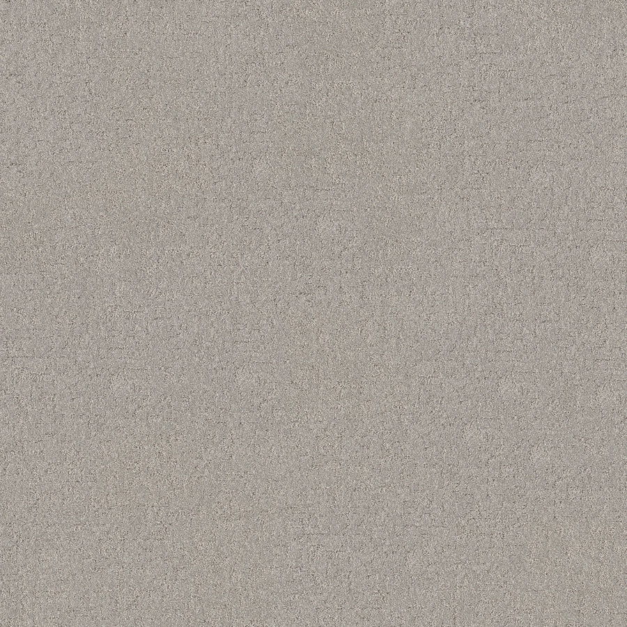 Shaw Floors - Carpet - Pet Perfect + Collection - Secret Destination - 12' - Four Winds