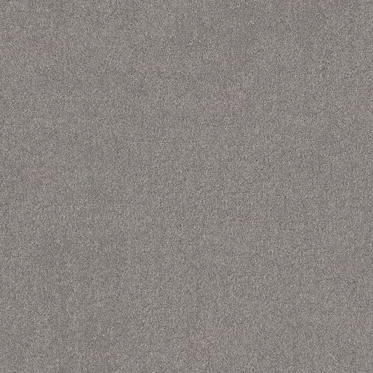 Shaw Floors - Carpet - Pet Perfect + Collection - Secret Destination - 12' - Graphic