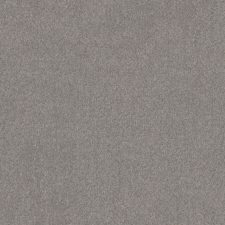 Shaw Floors - Carpet - Pet Perfect + Collection - Secret Destination - 12' - Graphic
