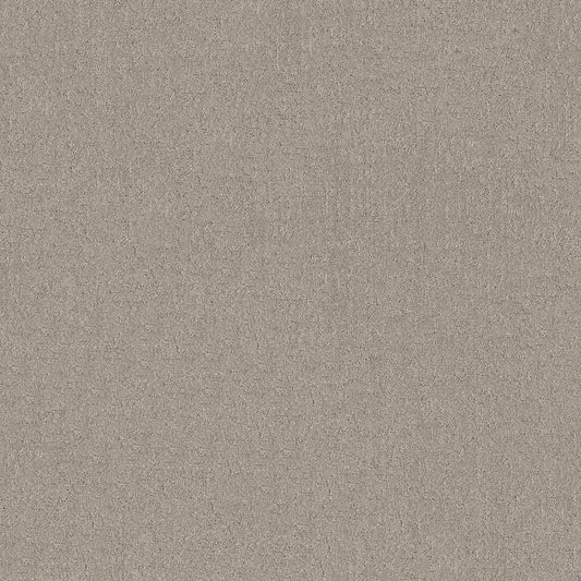 Shaw Floors - Carpet - Pet Perfect + Collection - Secret Destination - 12' - Marble