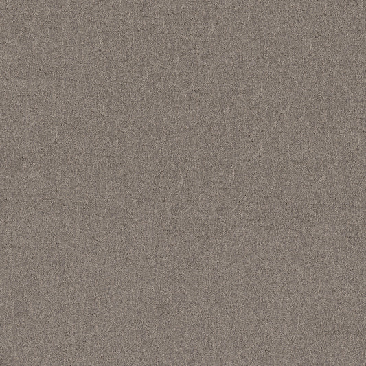 Shaw Floors - Carpet - Pet Perfect + Collection - Secret Destination - 12' - Shadows