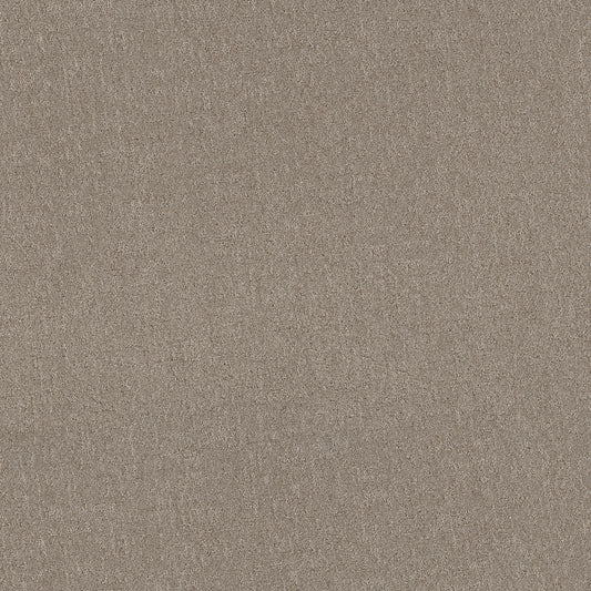 Shaw Floors - Carpet - Pet Perfect + Collection - Secret Destination - 12' - Mocha