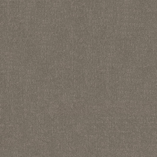 Shaw Floors - Carpet - Pet Perfect + Collection - Secret Destination - 12' - Hideaway