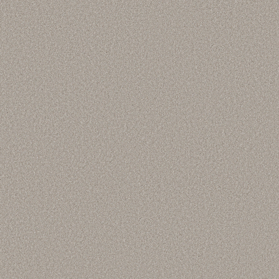 Shaw Floors - Carpet - Simply the Best Values Collection - Wonderland II - 12' - Antiquity