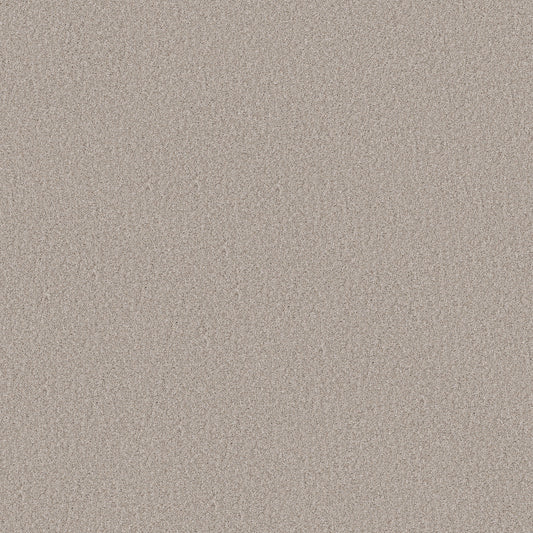 Shaw Floors - Carpet - Simply the Best Values Collection - Wonderland II - 12' - Silence
