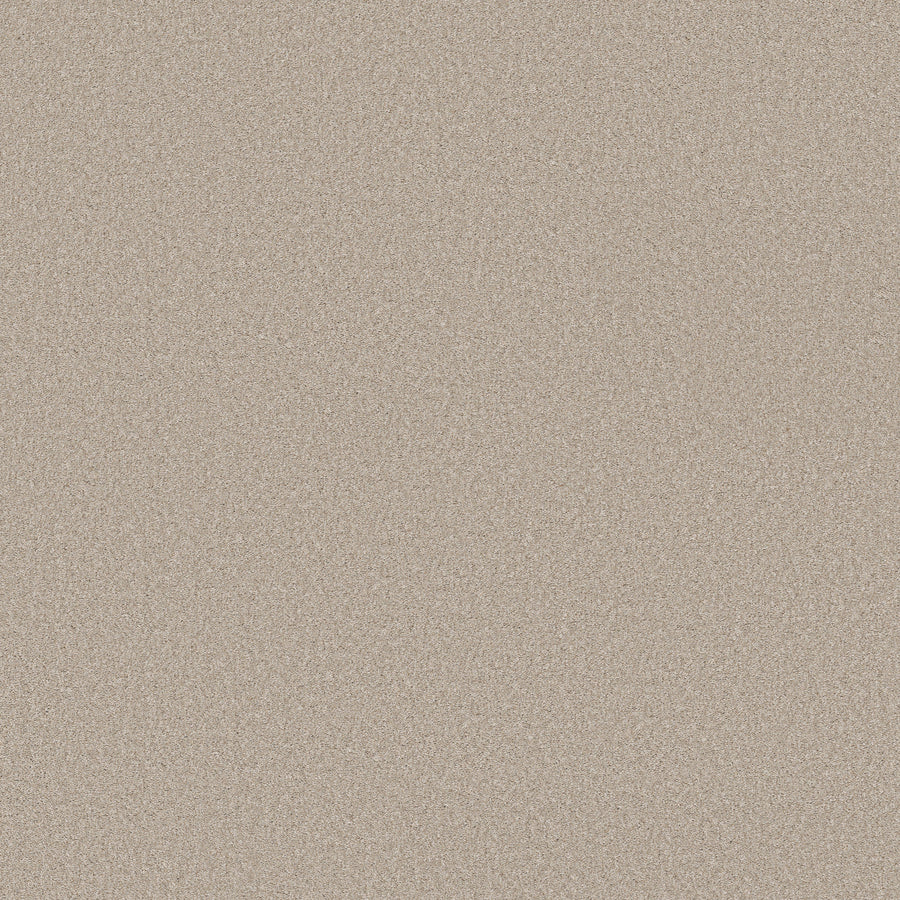 Shaw Floors - Carpet - Simply the Best Values Collection - Wonderland II - 12' - Outer Banks