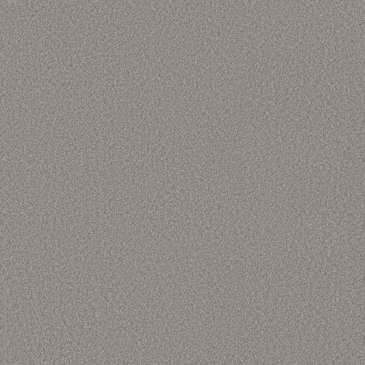 Shaw Floors - Carpet - Simply the Best Values Collection - Wonderland II - 12' - Greige