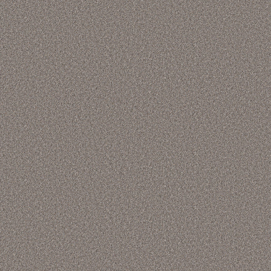 Shaw Floors - Carpet - Simply the Best Values Collection - Wonderland II - 12' - Pier