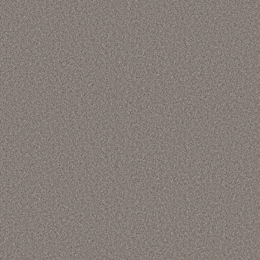 Shaw Floors - Carpet - Simply the Best Values Collection - Wonderland II - 12' - Pier