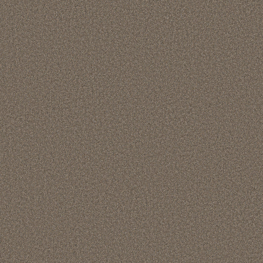 Shaw Floors - Carpet - Simply the Best Values Collection - Wonderland II - 12' - Smoked Tan