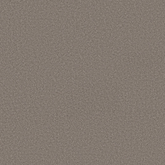 Shaw Floors - Carpet - Simply the Best Values Collection - Wonderland II - 12' - Creek Bed