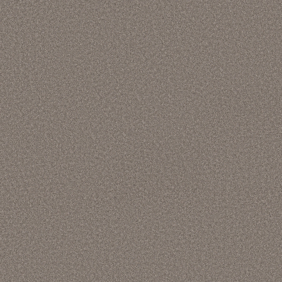 Shaw Floors - Carpet - Simply the Best Values Collection - Wonderland II - 12' - Creek Bed