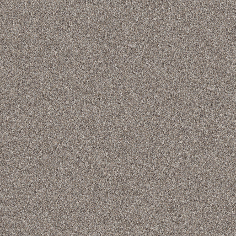 Shaw Floors - Carpet - Pet Perfect + Collection - Refined Beauty - 12' - Perfection