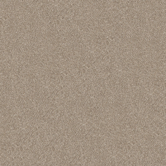 Shaw Floors - Carpet - Pet Perfect + Collection - Refined Beauty - 12' - Soft Sand