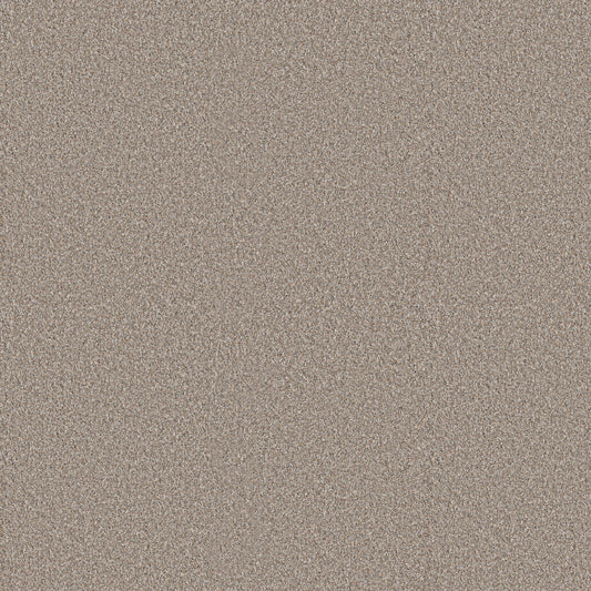 Shaw Floors - Carpet - Pet Perfect + Collection - Refined Beauty - 12' - Dawn Beige