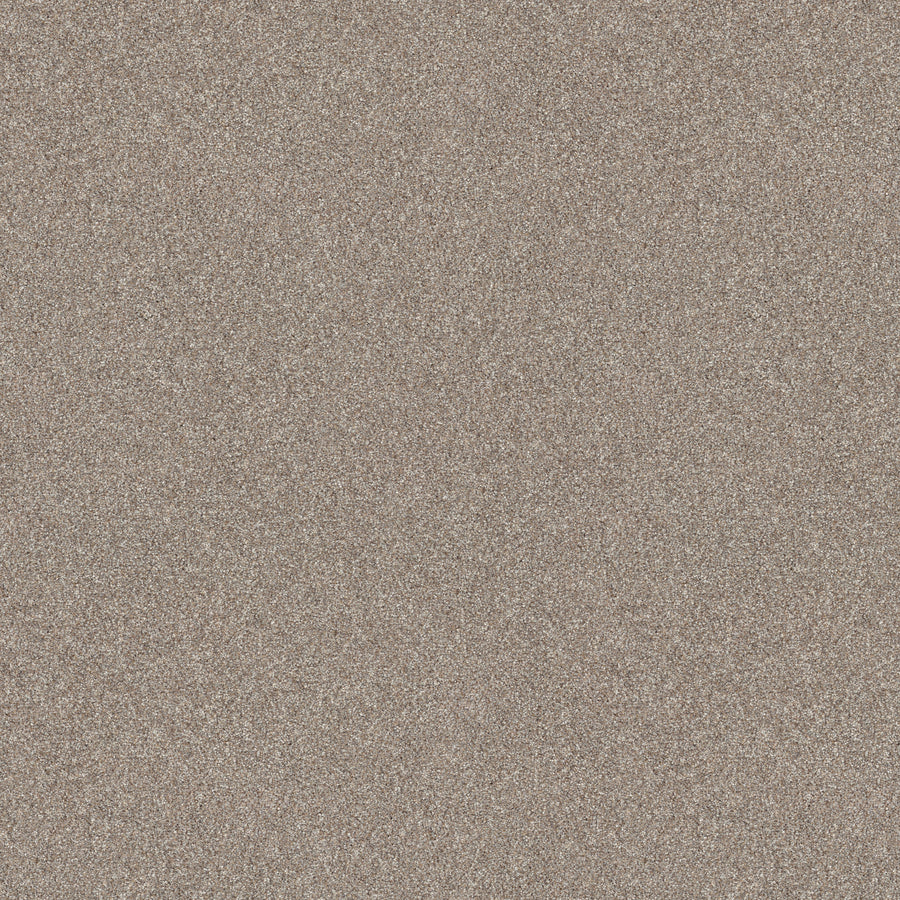 Shaw Floors - Carpet - Pet Perfect + Collection - Refined Beauty - 12' - Mushroom