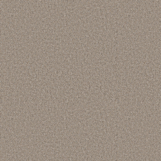 Shaw Floors - Carpet - Pet Perfect + Collection - Refined Beauty - 12' - Nutria