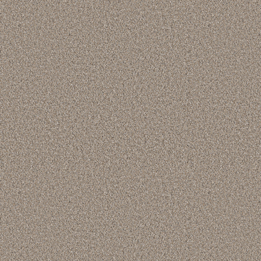 Shaw Floors - Carpet - Pet Perfect + Collection - Refined Beauty - 12' - Nutria