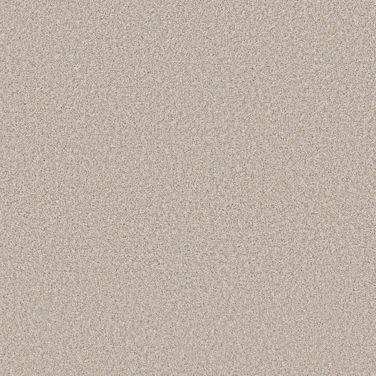 Shaw Floors - Carpet - Pet Perfect+ Collection - Refined Beauty - 12' - Nuance