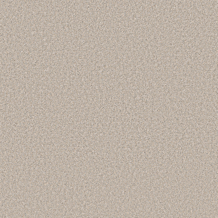 Shaw Floors - Carpet - Pet Perfect+ Collection - Refined Beauty - 12' - Nuance