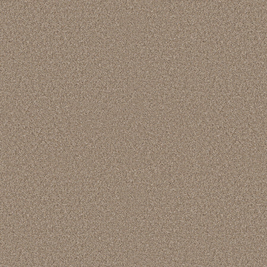 Shaw Floors - Carpet - Pet Perfect+ Collection - Refined Beauty - 12' - Summer Straw