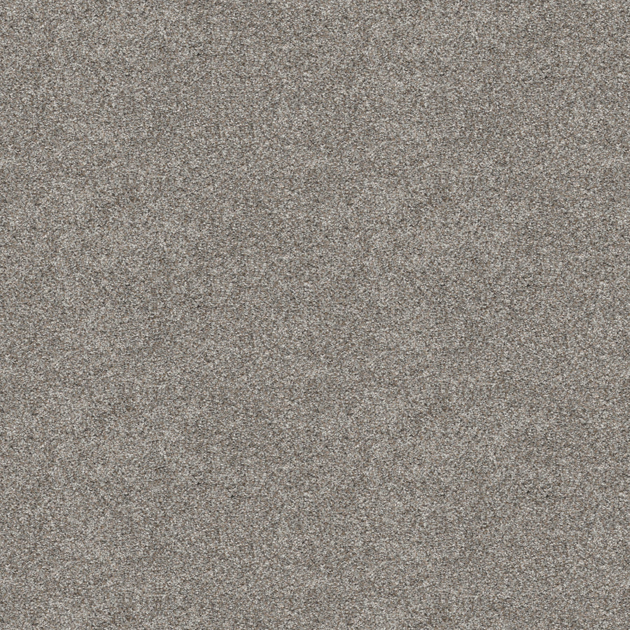 Shaw Floors - Carpet - Pet Perfect+ Collection - Refined Beauty - 12' - River Rock