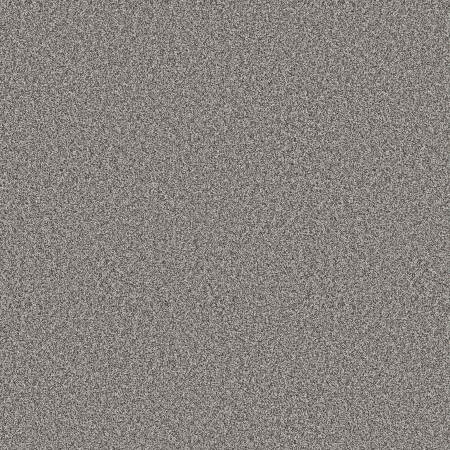 Shaw Floors - Carpet - Pet Perfect+ Collection - Refined Beauty - 12' - London Fog